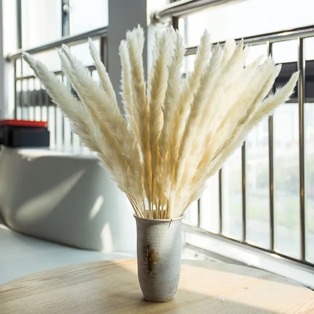 Dried flowers of Pampas grass 30 pcs