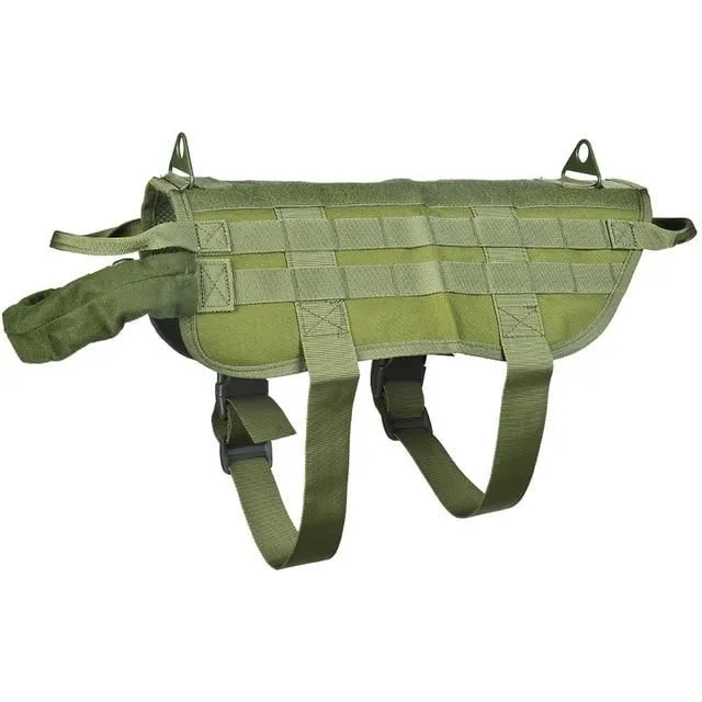 Training vest for dog