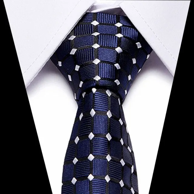 Men's luxury business tie Brock