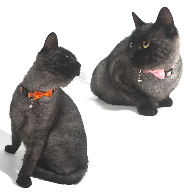 Cute collar with bow and bell for cats