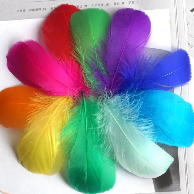 Natural coloured decorative feathers - 100 pcs