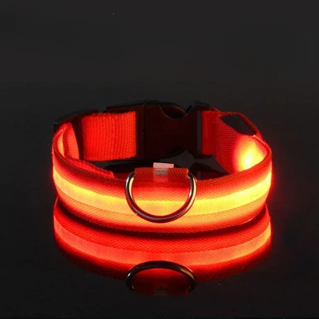 Practical collar with LED strap for improved visibility - USB power supply, more colors