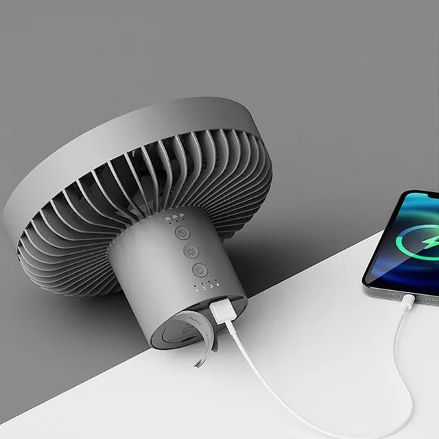 Portable fan with light