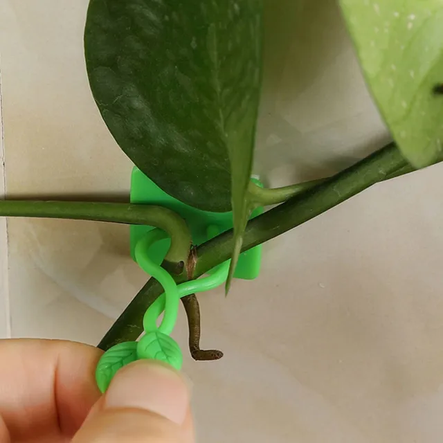 Clamps for plants leaves 100 pcs