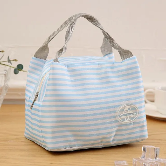 Unisex stylish modern trends original waterproof lunch bag with trendy design