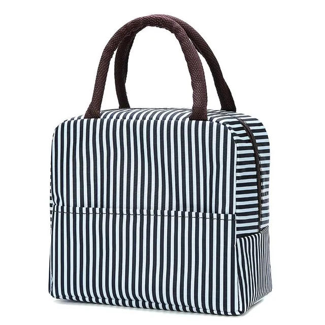 Jednoduchá klasická trendy taška na oběd s luxusním moderním barevným potiskem