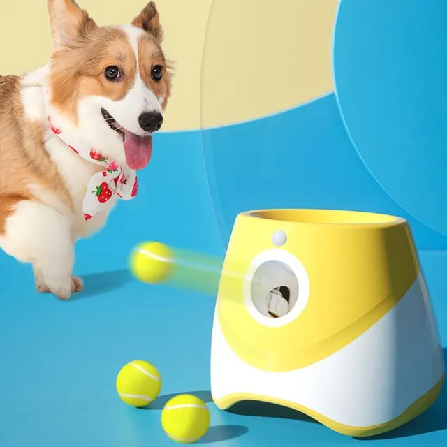 Automatic ball thrower for dogs - Interactive toy for fetching and exercising