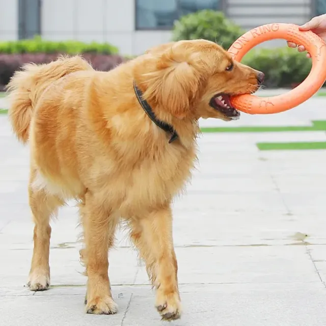 Interactive training flying disc for dogs, durable drag ring