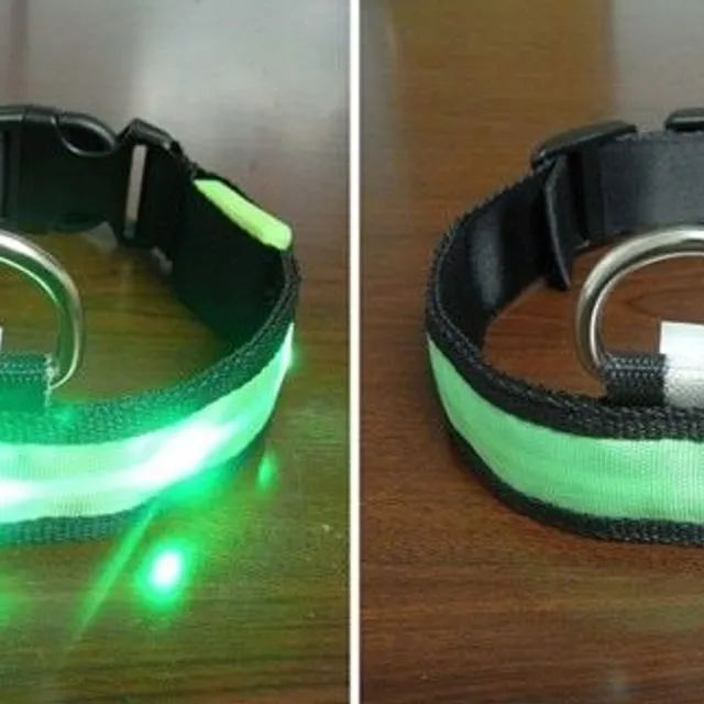 Ware LED light-up collar