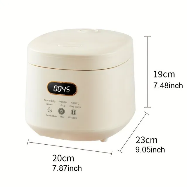 Small multifunctional rice cooker with removable non-stick container