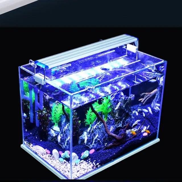 LED világítás az akvárium - kék és fehér