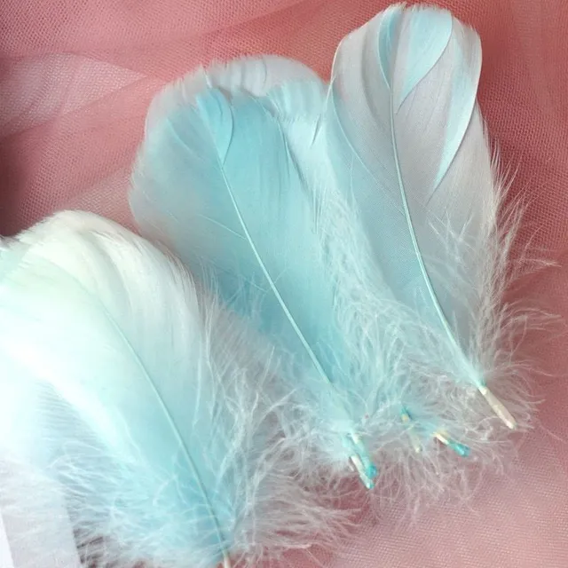 Natural coloured decorative feathers - 100 pcs