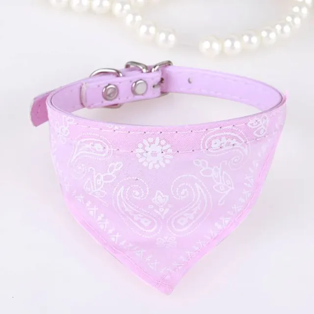 Stylish collar with scarf for dogs