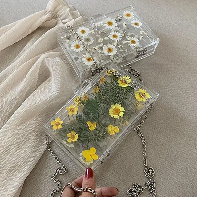 Sušené květy sedmikrásek Estetická průhledná taška