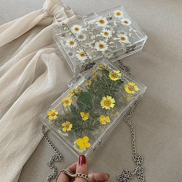 Dried daisy flowers Aesthetic transparent bag