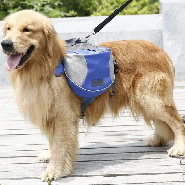 Outdoor backpack for dogs