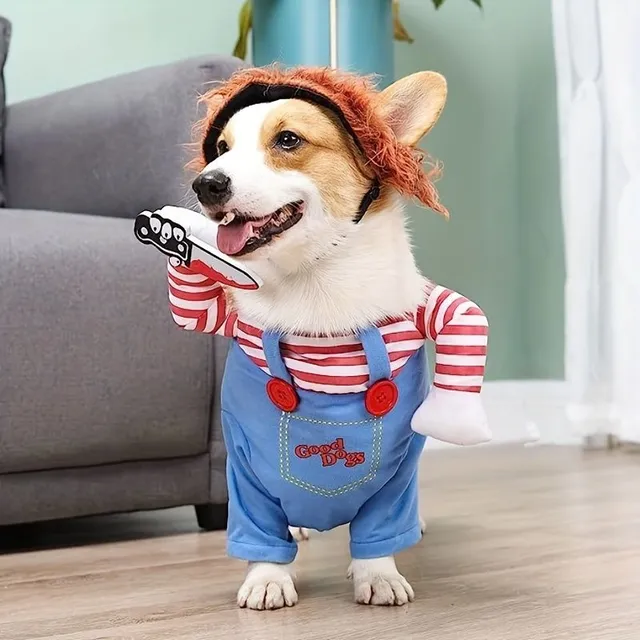 Halloween: Costume of scary dolls for dogs - Cute and scary at the same time