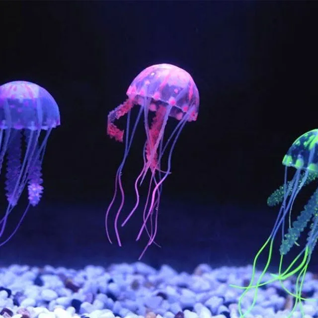 Shiny jellyfish for the aquarium