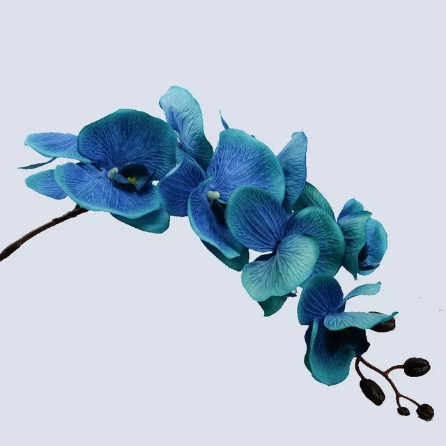 Krásne farebné orchidey