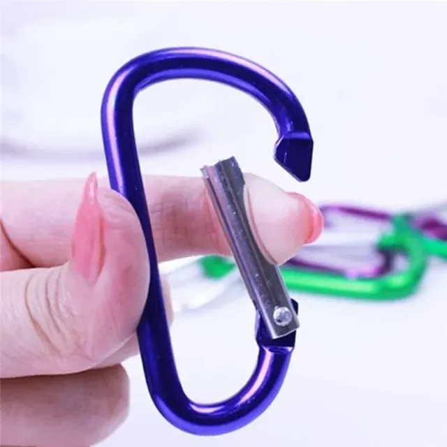 10 pcs color mini carabiner