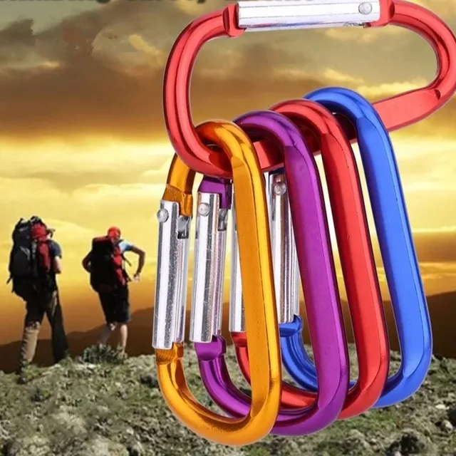 10 pcs color mini carabiner