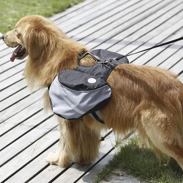 Outdoor backpack for dogs