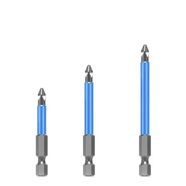 Magnetic kit of bits for screwdriver