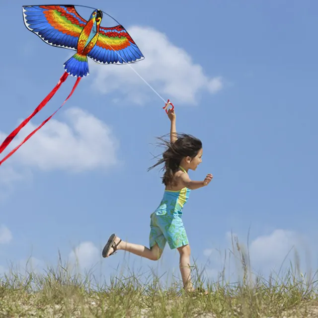 Flying parrot-shaped kite - 3 colours