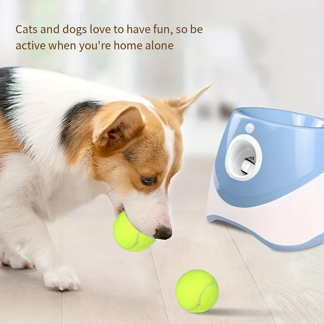 Lanceur automatique de balles de tennis pour animaux de compagnie - Jouets d'entraînement pour chiens - Jouet interactif pour animaux de compagnie pour l'apprentissage du rapport et l'exercice