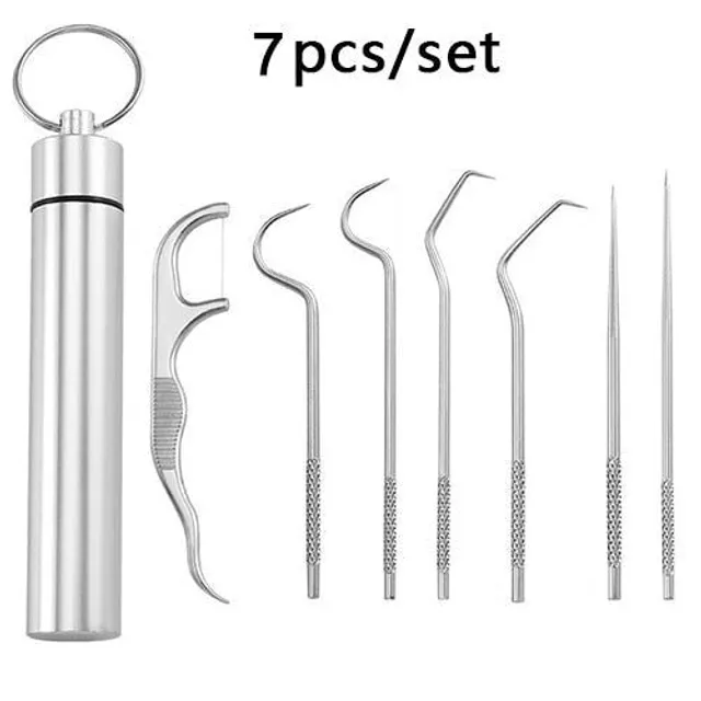 Stainless steel toothpick set Dental floss Reusable toothpicks Portable toothpicks Dental floss Toothbrush Oral cleaning