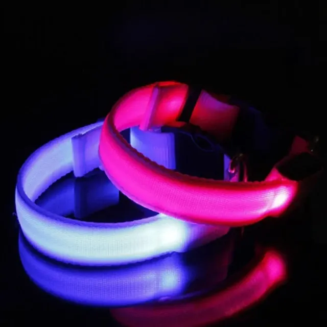 Lighting LED collar for small and medium dogs - for safe night walks