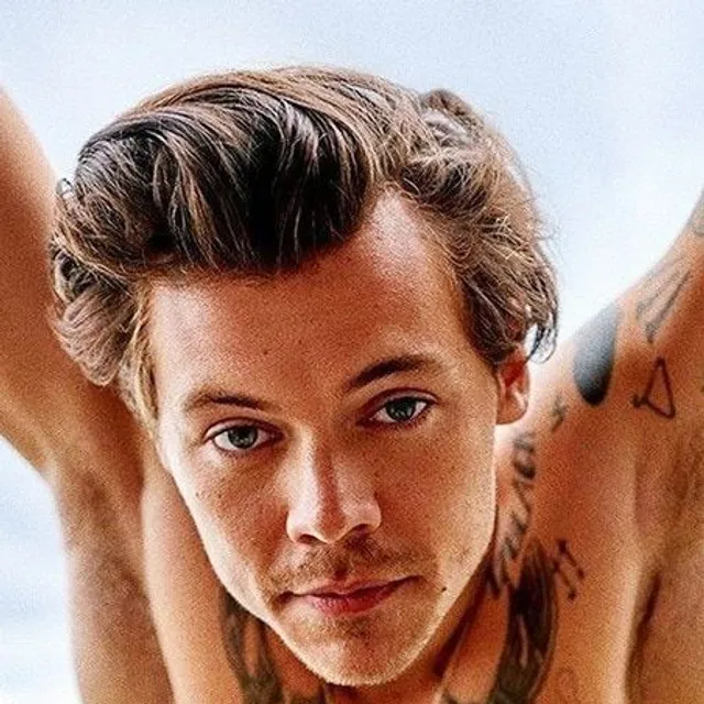 Poster cu popularul cântăreț britanic Harry Styles