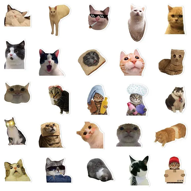 Set of funny stickers with cat Kitty