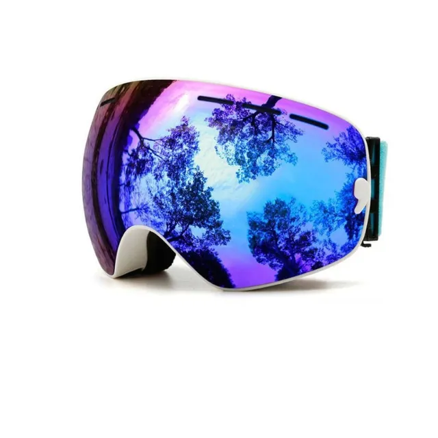 Ski Snowboard Skibrille