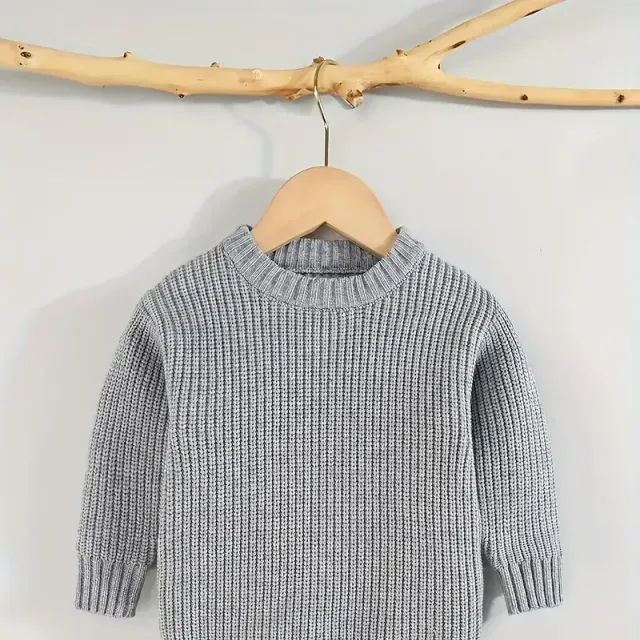 Warm and stylish knitted sweater for your bug - warms and delights in the winter months