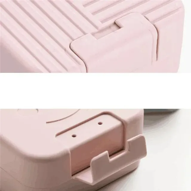 Practical and portable soap with lid for safe and hygienic storage of soap