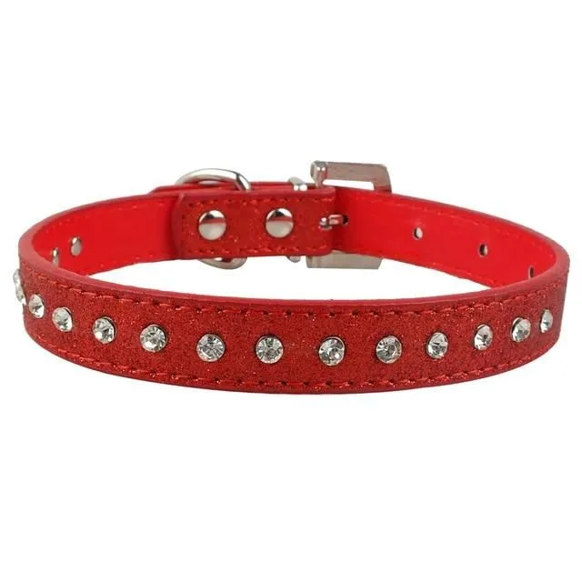 Leather collar for dogs and cats