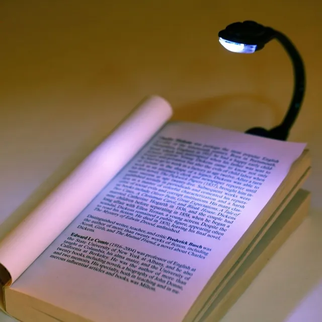 Mini portable LED lamp with clip