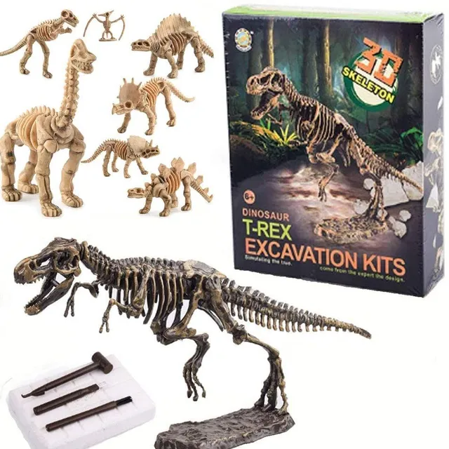 3D Dinoszaurusz csontjai