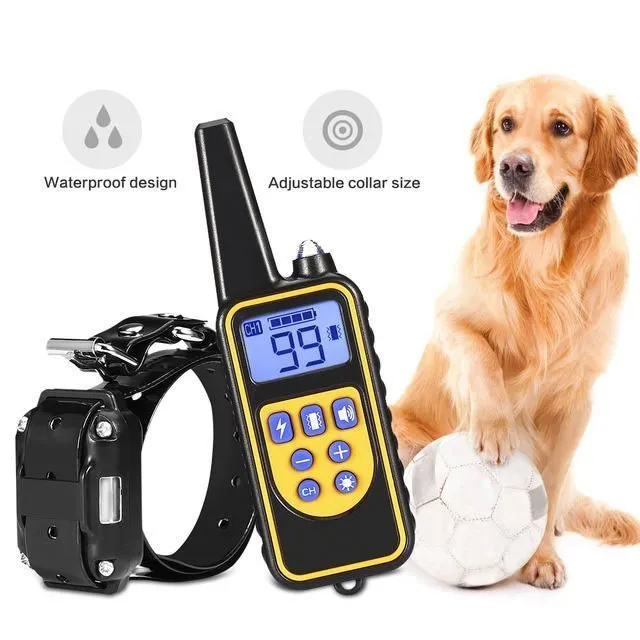 Electric training collar for dogs