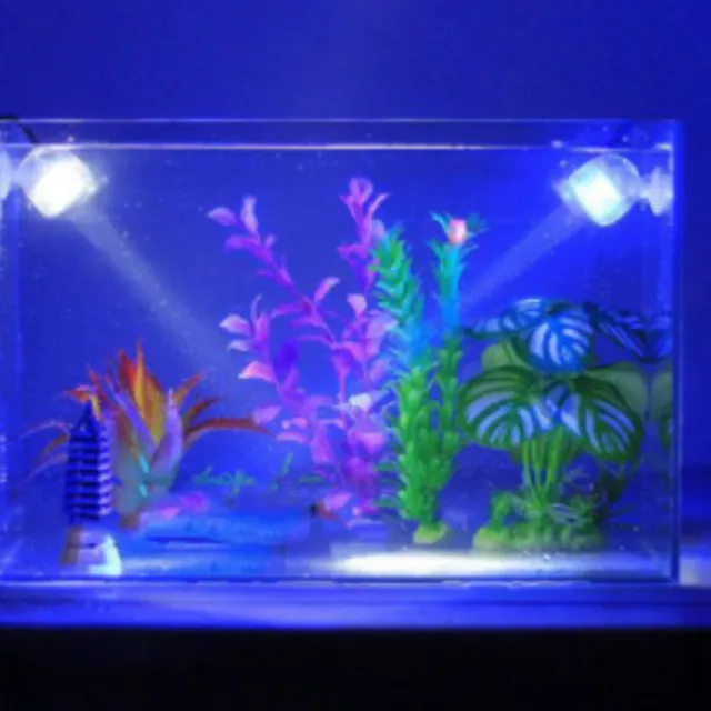 Lampe LED étanche pour aquarium avec fixation par ventouse sur le mur de l'aquarium