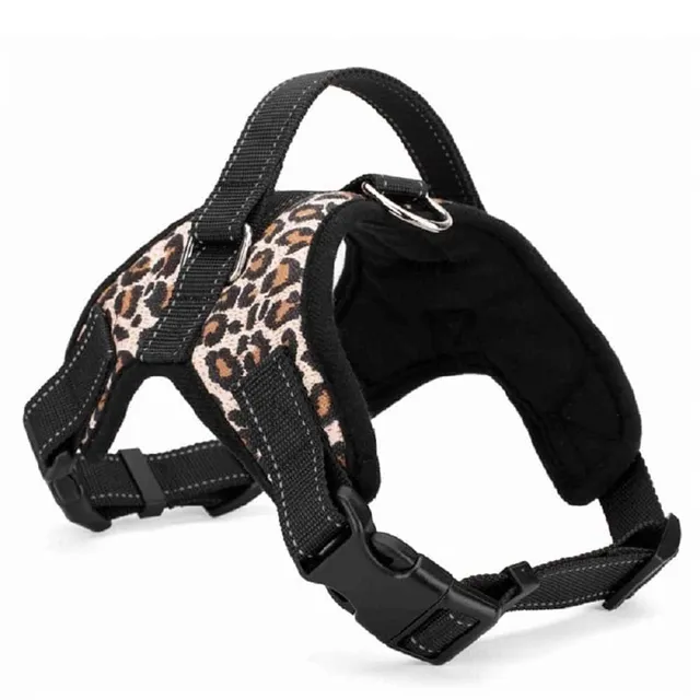 Nylon harness for dog