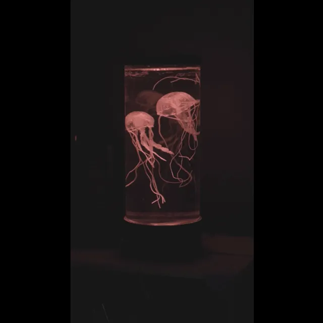 - LED aquarium with jellyfish