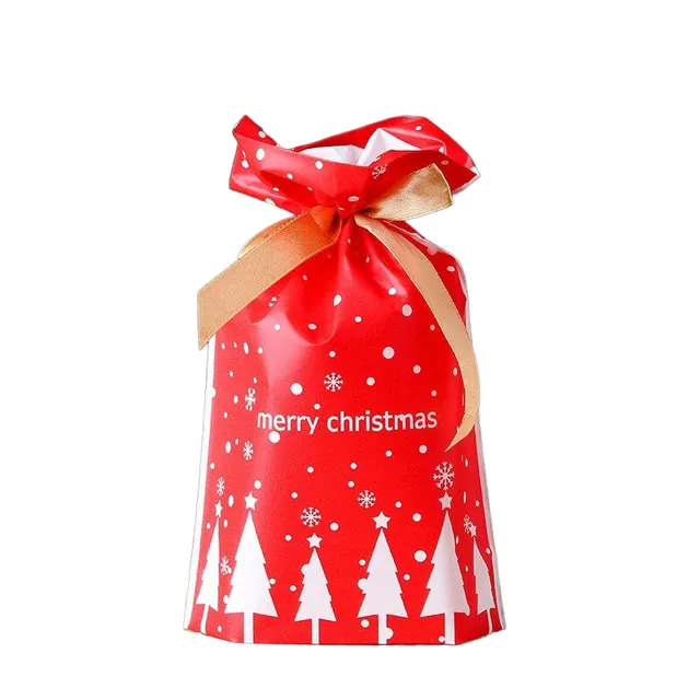 Christmas gift bag 23 x 15 cm 10 pcs