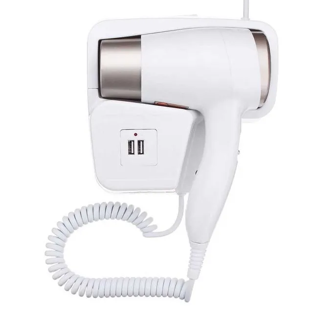 Bst Hotel gun hair dryer for wall mounting 220V