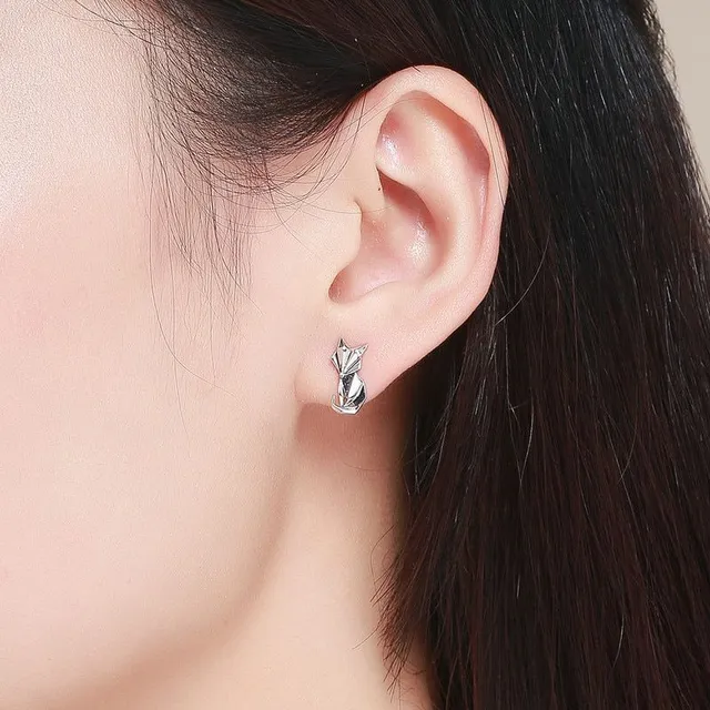 Silver earrings © Fox