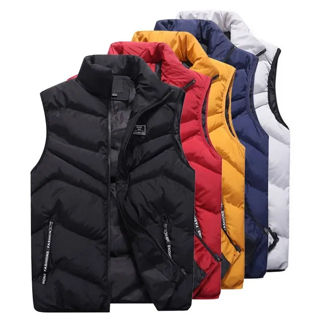 Autumn men's vest