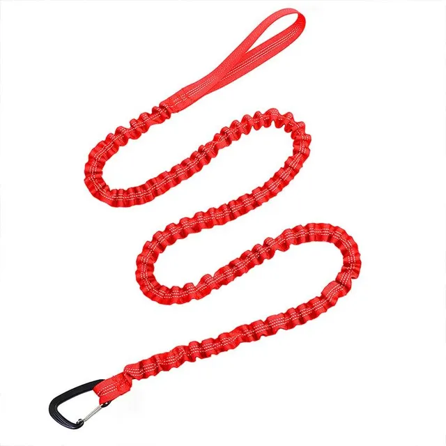 Auxiliary cycling rope for riding with children