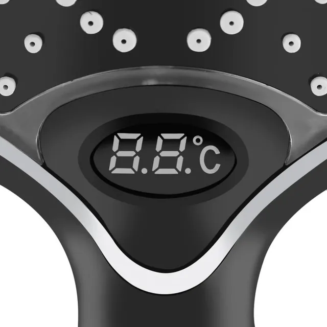 Shower head with thermometer