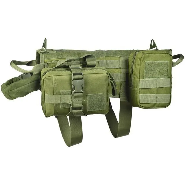 Training vest for dog